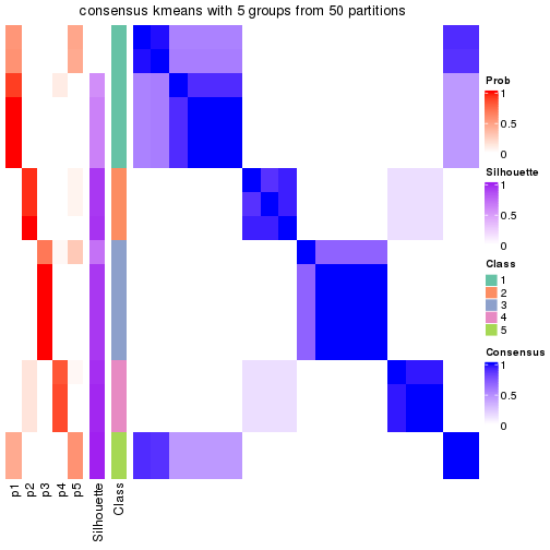 plot of chunk tab-node-022-consensus-heatmap-4