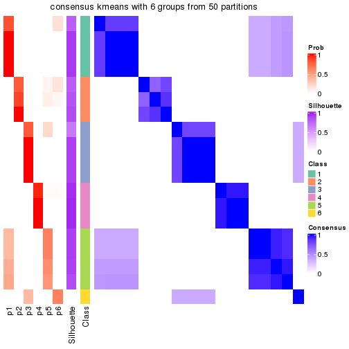 plot of chunk tab-node-022-consensus-heatmap-5