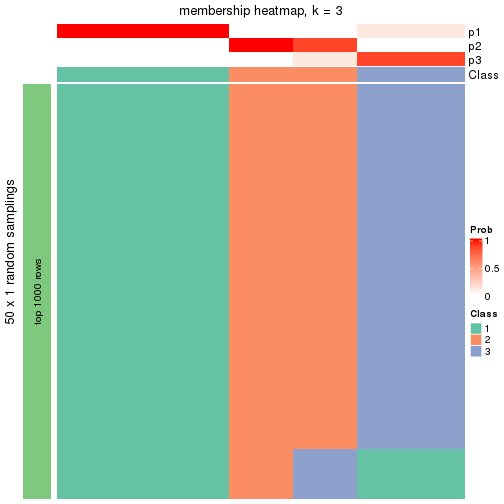 plot of chunk tab-node-022-membership-heatmap-2