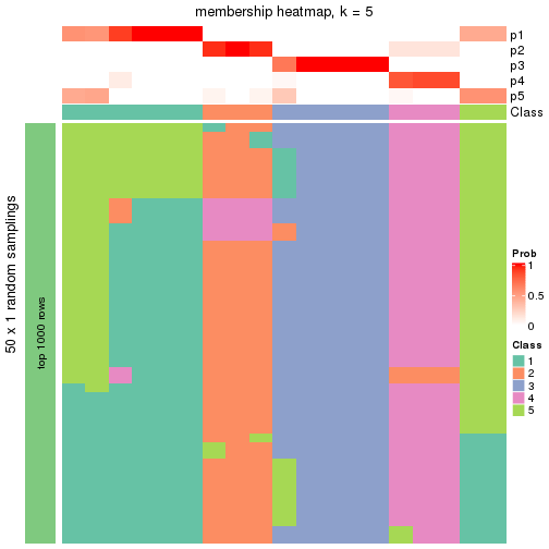 plot of chunk tab-node-022-membership-heatmap-4