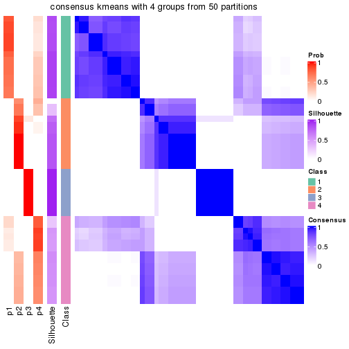 plot of chunk tab-node-03-consensus-heatmap-3