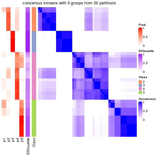 plot of chunk tab-node-03-consensus-heatmap-4