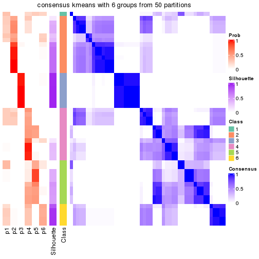 plot of chunk tab-node-03-consensus-heatmap-5