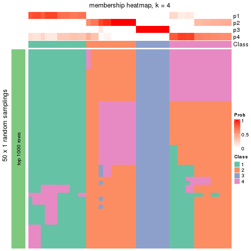 plot of chunk tab-node-03-membership-heatmap-3