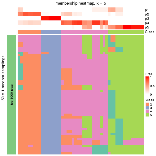 plot of chunk tab-node-03-membership-heatmap-4