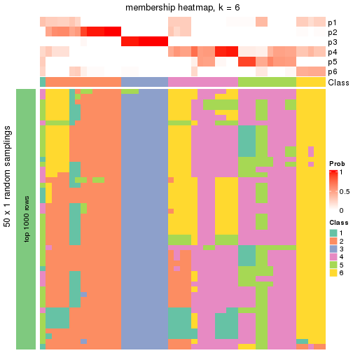 plot of chunk tab-node-03-membership-heatmap-5