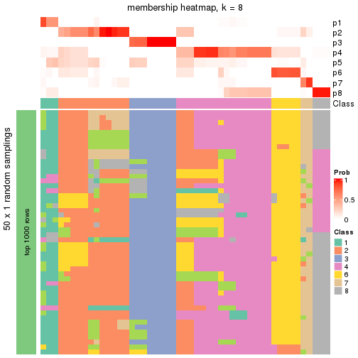 plot of chunk tab-node-03-membership-heatmap-7