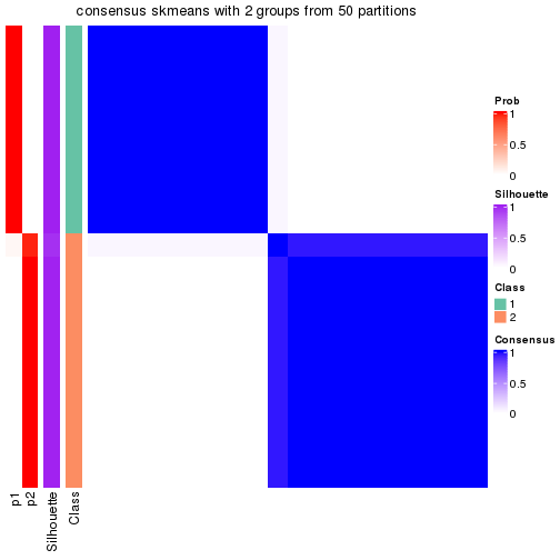 plot of chunk tab-node-031-consensus-heatmap-1