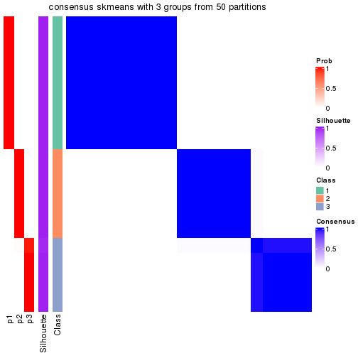 plot of chunk tab-node-031-consensus-heatmap-2