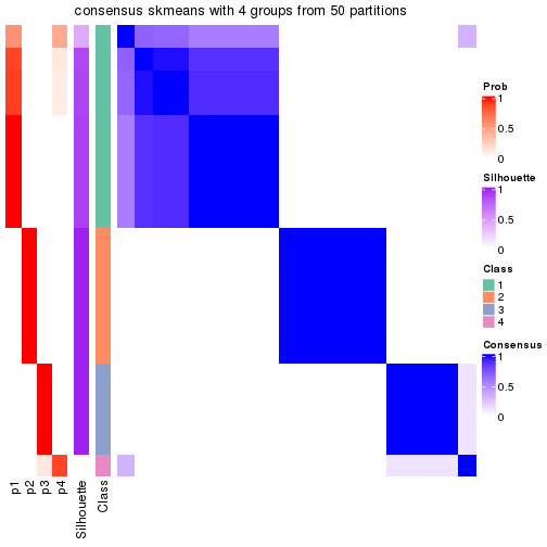 plot of chunk tab-node-031-consensus-heatmap-3