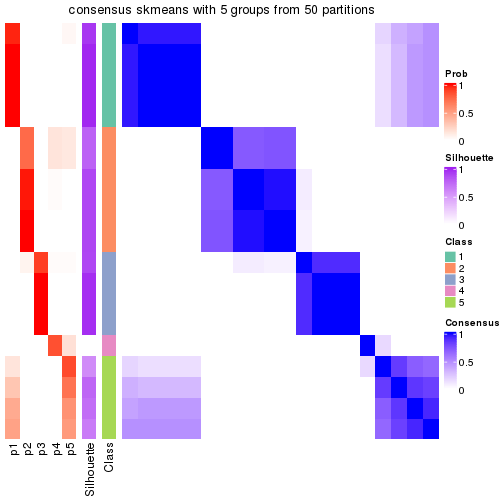 plot of chunk tab-node-031-consensus-heatmap-4