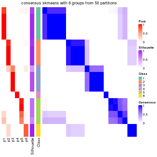 plot of chunk tab-node-031-consensus-heatmap-5