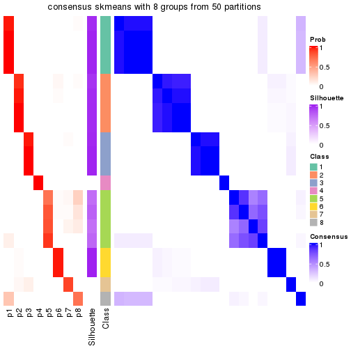 plot of chunk tab-node-031-consensus-heatmap-7