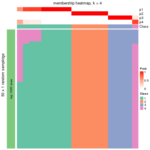 plot of chunk tab-node-031-membership-heatmap-3