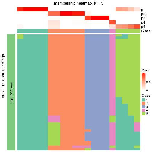 plot of chunk tab-node-031-membership-heatmap-4