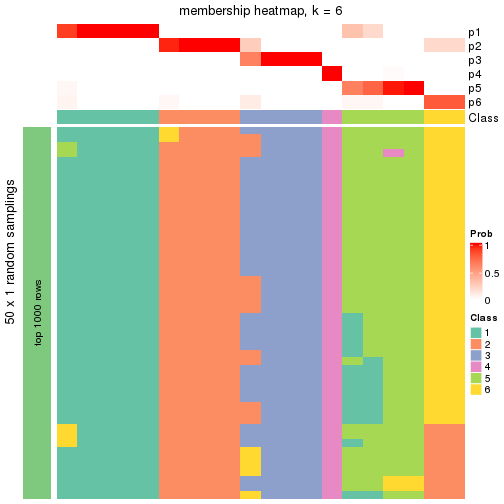 plot of chunk tab-node-031-membership-heatmap-5