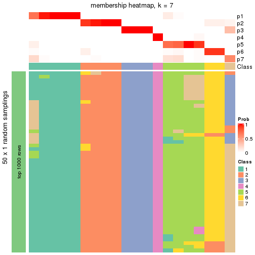 plot of chunk tab-node-031-membership-heatmap-6