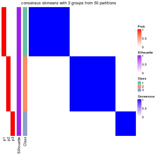 plot of chunk tab-node-032-consensus-heatmap-2