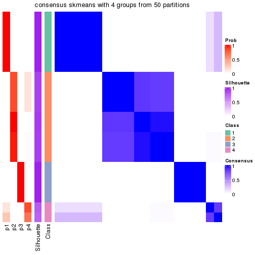 plot of chunk tab-node-032-consensus-heatmap-3