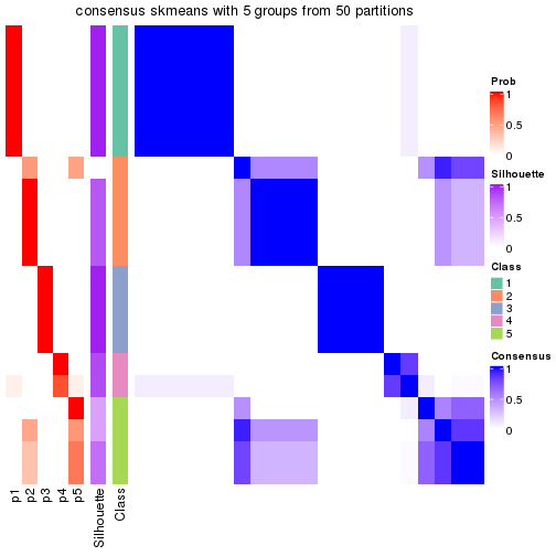 plot of chunk tab-node-032-consensus-heatmap-4