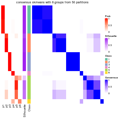 plot of chunk tab-node-032-consensus-heatmap-5