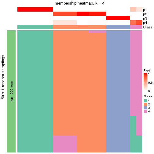 plot of chunk tab-node-032-membership-heatmap-3