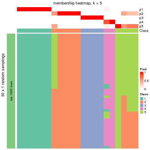 plot of chunk tab-node-032-membership-heatmap-4