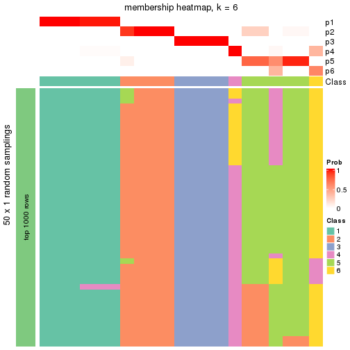 plot of chunk tab-node-032-membership-heatmap-5