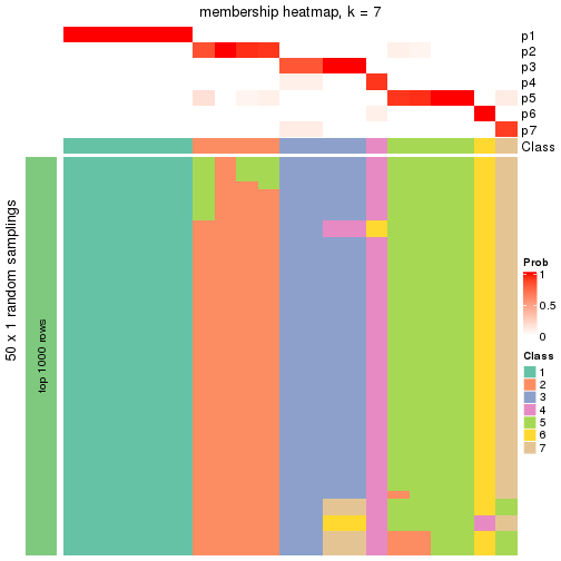 plot of chunk tab-node-032-membership-heatmap-6