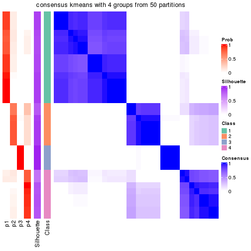 plot of chunk tab-node-04-consensus-heatmap-3