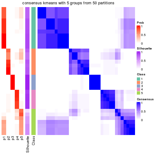 plot of chunk tab-node-04-consensus-heatmap-4