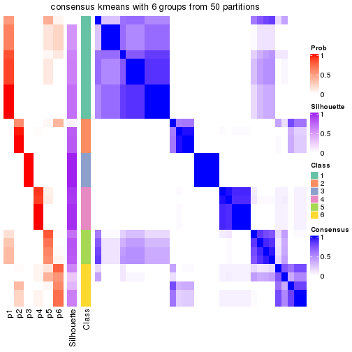 plot of chunk tab-node-04-consensus-heatmap-5