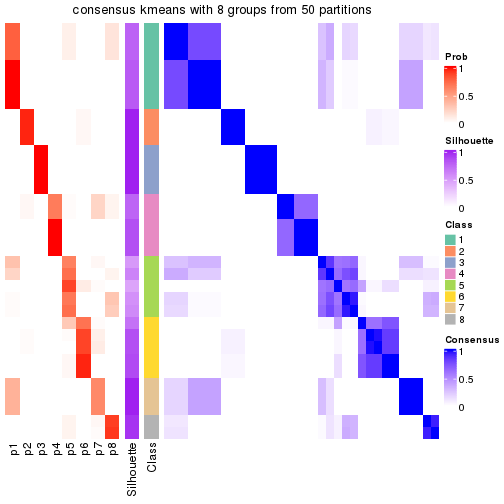 plot of chunk tab-node-04-consensus-heatmap-7