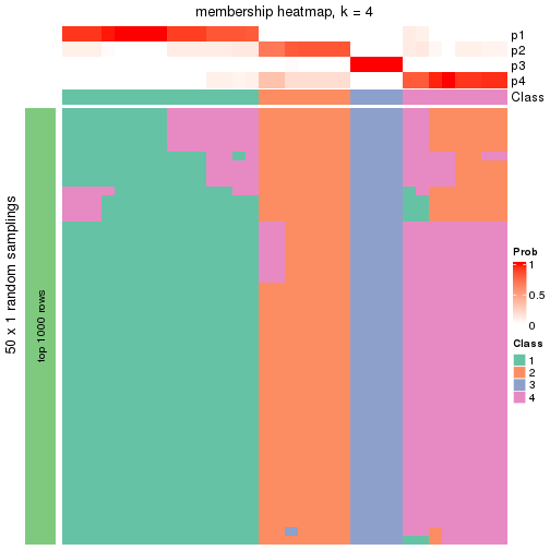 plot of chunk tab-node-04-membership-heatmap-3