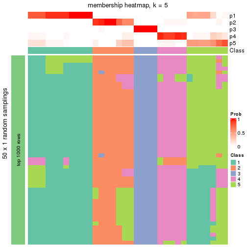 plot of chunk tab-node-04-membership-heatmap-4