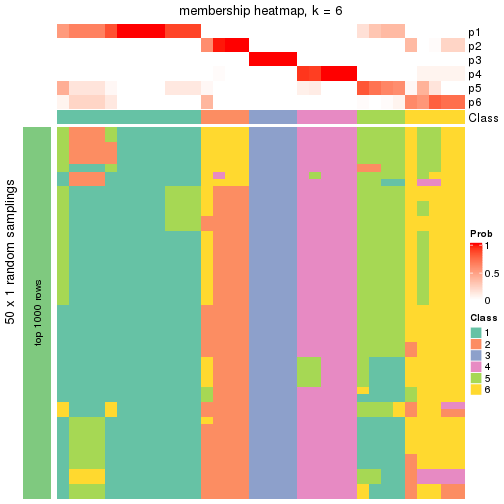 plot of chunk tab-node-04-membership-heatmap-5