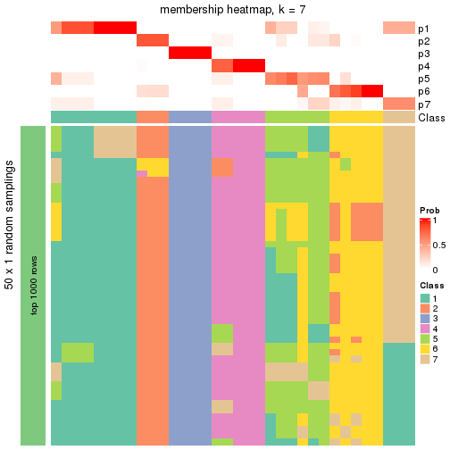 plot of chunk tab-node-04-membership-heatmap-6