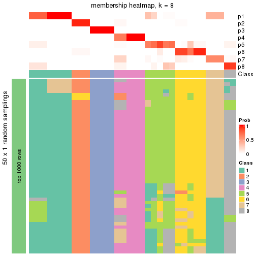 plot of chunk tab-node-04-membership-heatmap-7