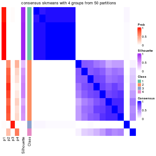 plot of chunk tab-node-041-consensus-heatmap-3