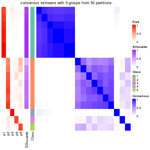 plot of chunk tab-node-041-consensus-heatmap-4