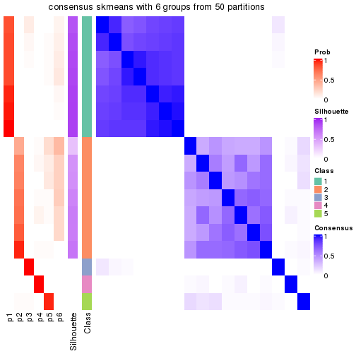 plot of chunk tab-node-041-consensus-heatmap-5