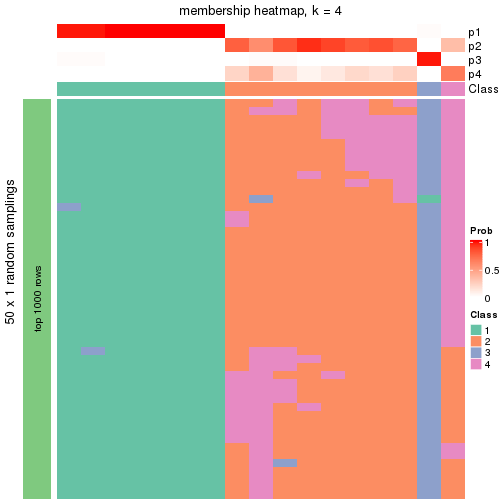 plot of chunk tab-node-041-membership-heatmap-3