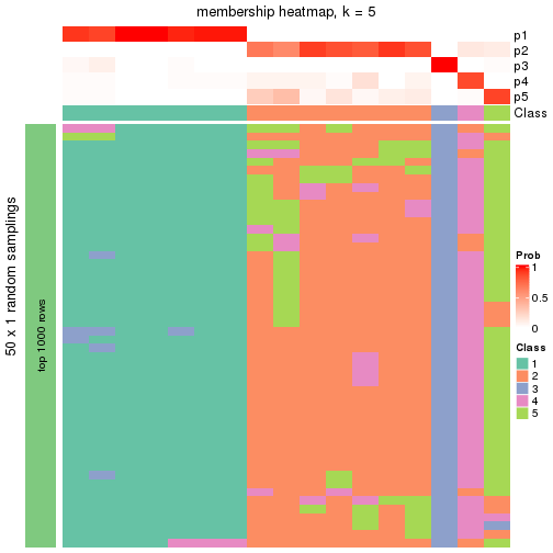 plot of chunk tab-node-041-membership-heatmap-4