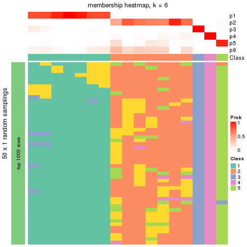 plot of chunk tab-node-041-membership-heatmap-5