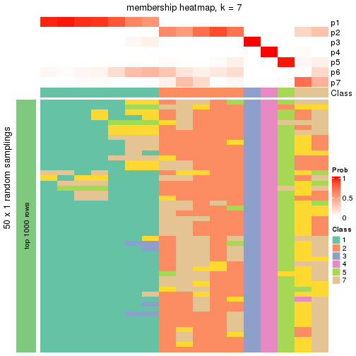 plot of chunk tab-node-041-membership-heatmap-6