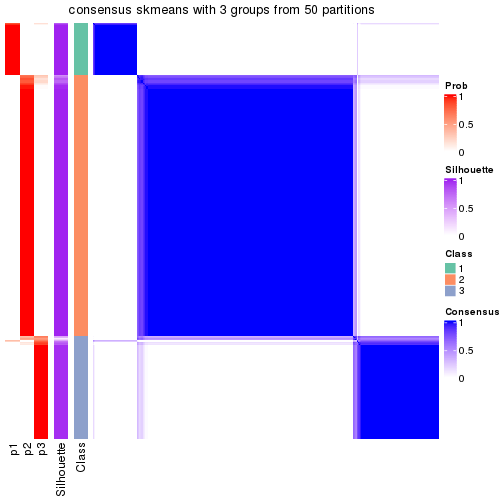 plot of chunk tab-node-0-consensus-heatmap-2