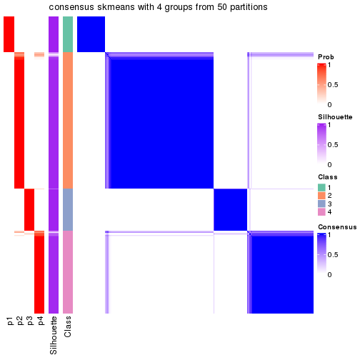 plot of chunk tab-node-0-consensus-heatmap-3