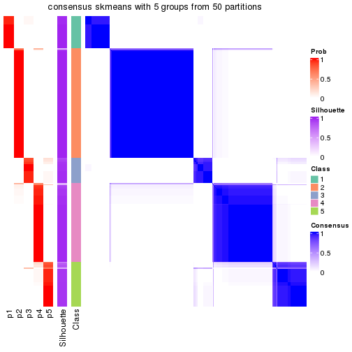 plot of chunk tab-node-0-consensus-heatmap-4