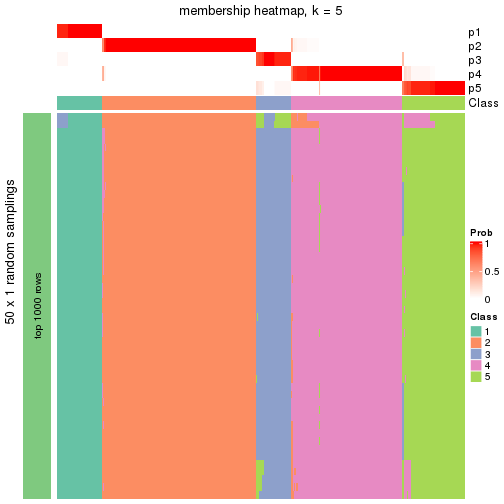 plot of chunk tab-node-0-membership-heatmap-4