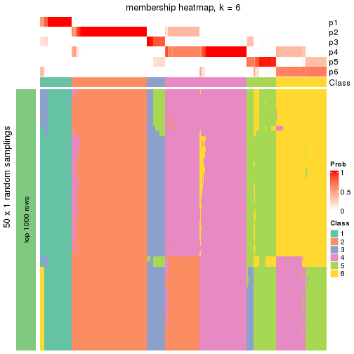 plot of chunk tab-node-0-membership-heatmap-5